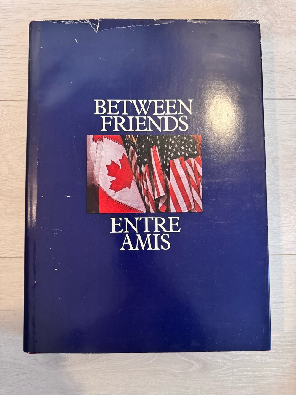 Between Friends Hardcover coffee table Book with Color Illustrations